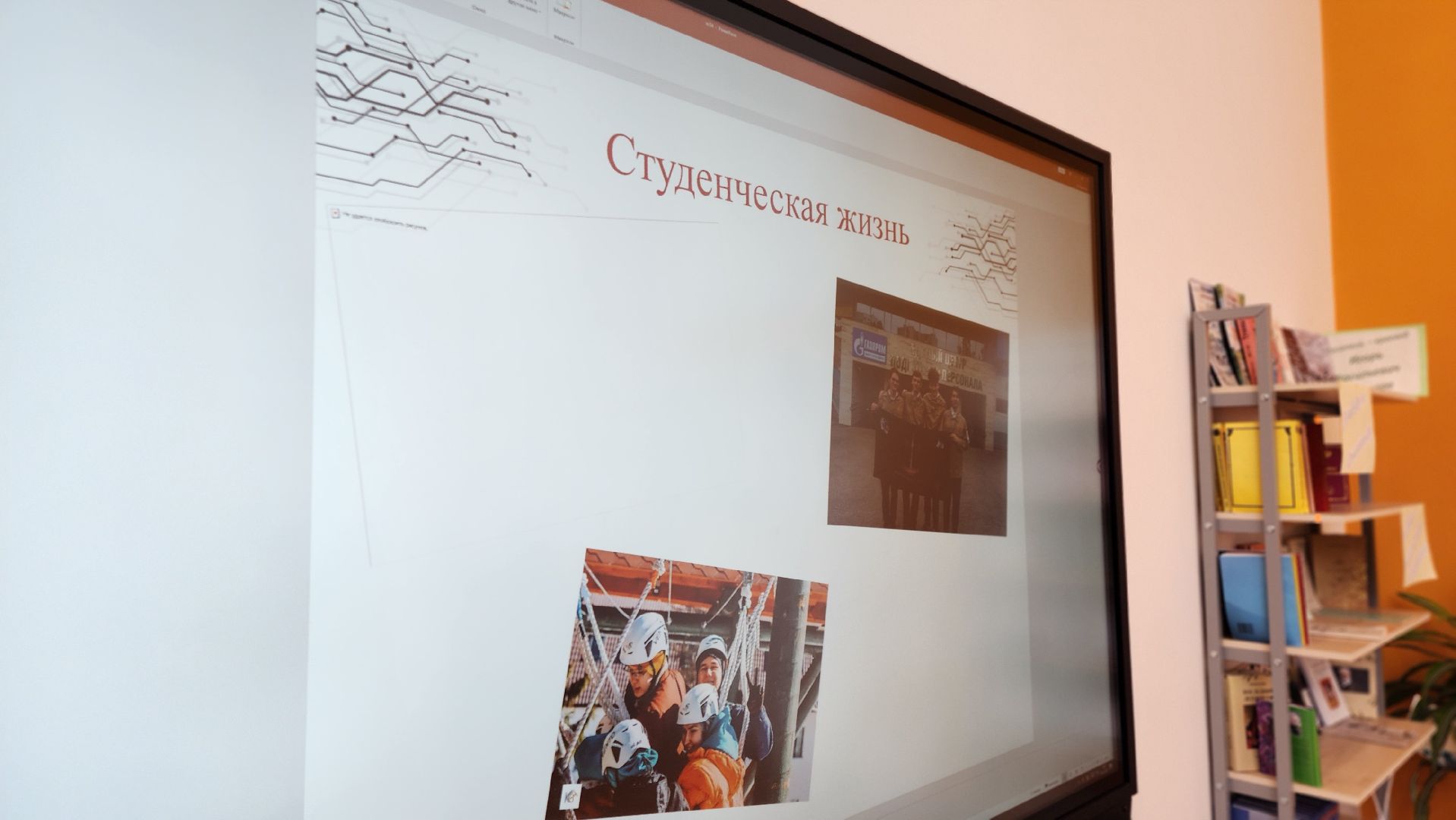 Руза, рузский муниципальный округ, рсо, Волонтер, образование,