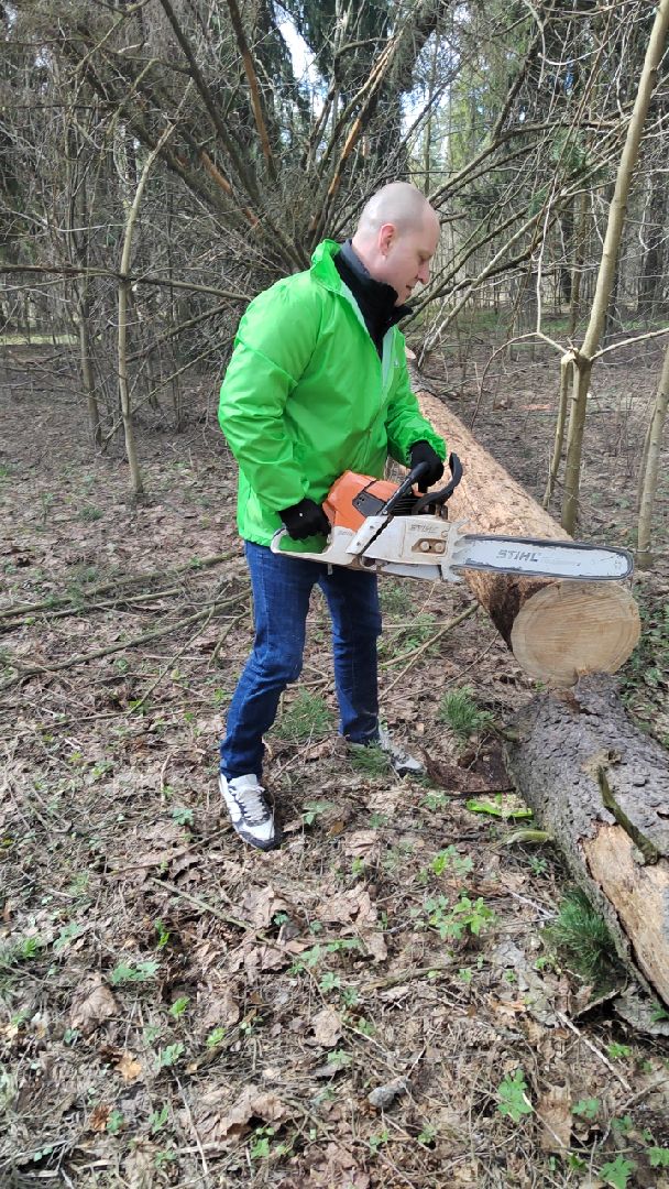 Пушкино, Пушкинский округ, субботник, благоустройство