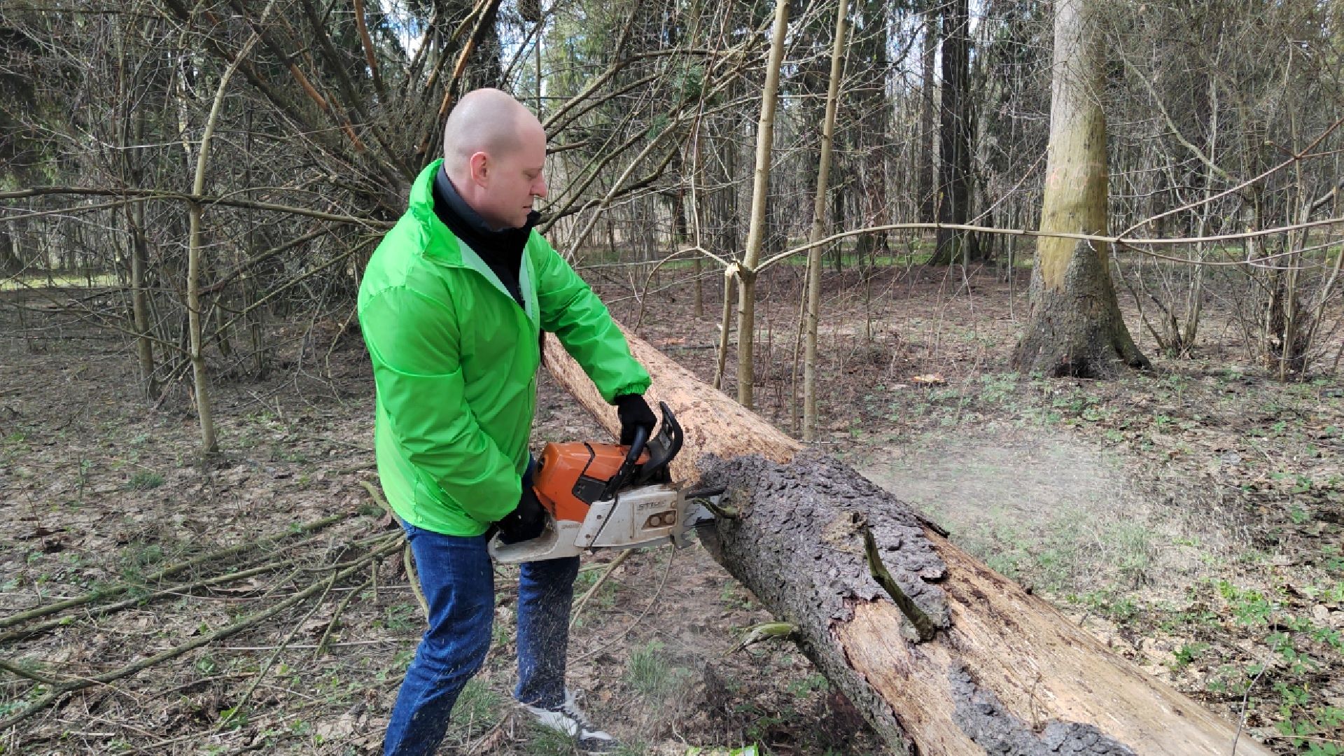 Пушкино, Пушкинский округ, субботник, благоустройство