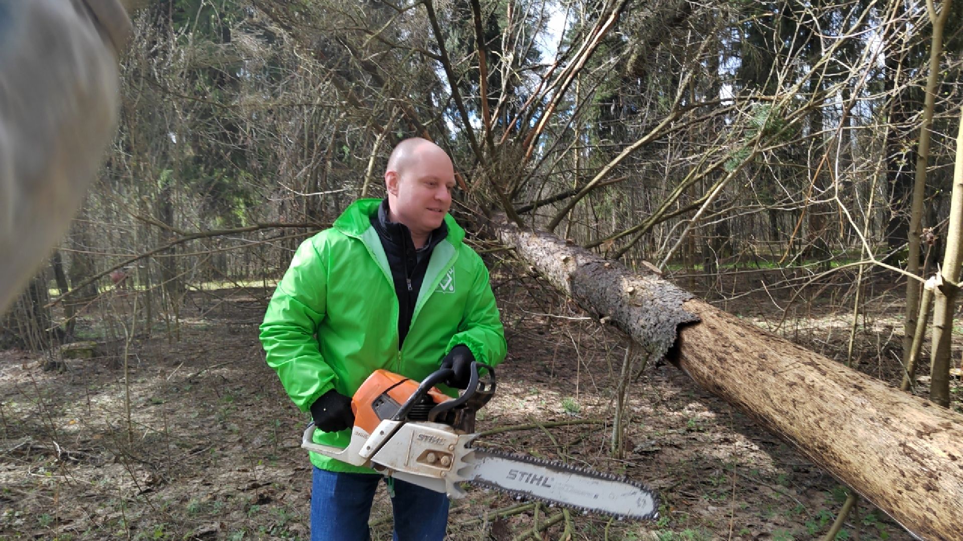 Пушкино, Пушкинский округ, субботник, благоустройство