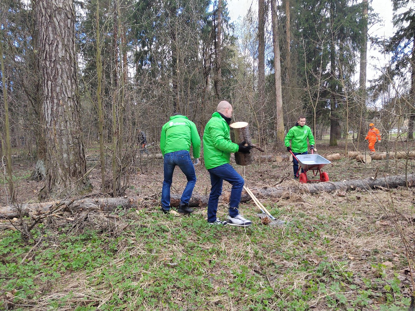 Пушкино, Пушкинский округ, субботник, благоустройство