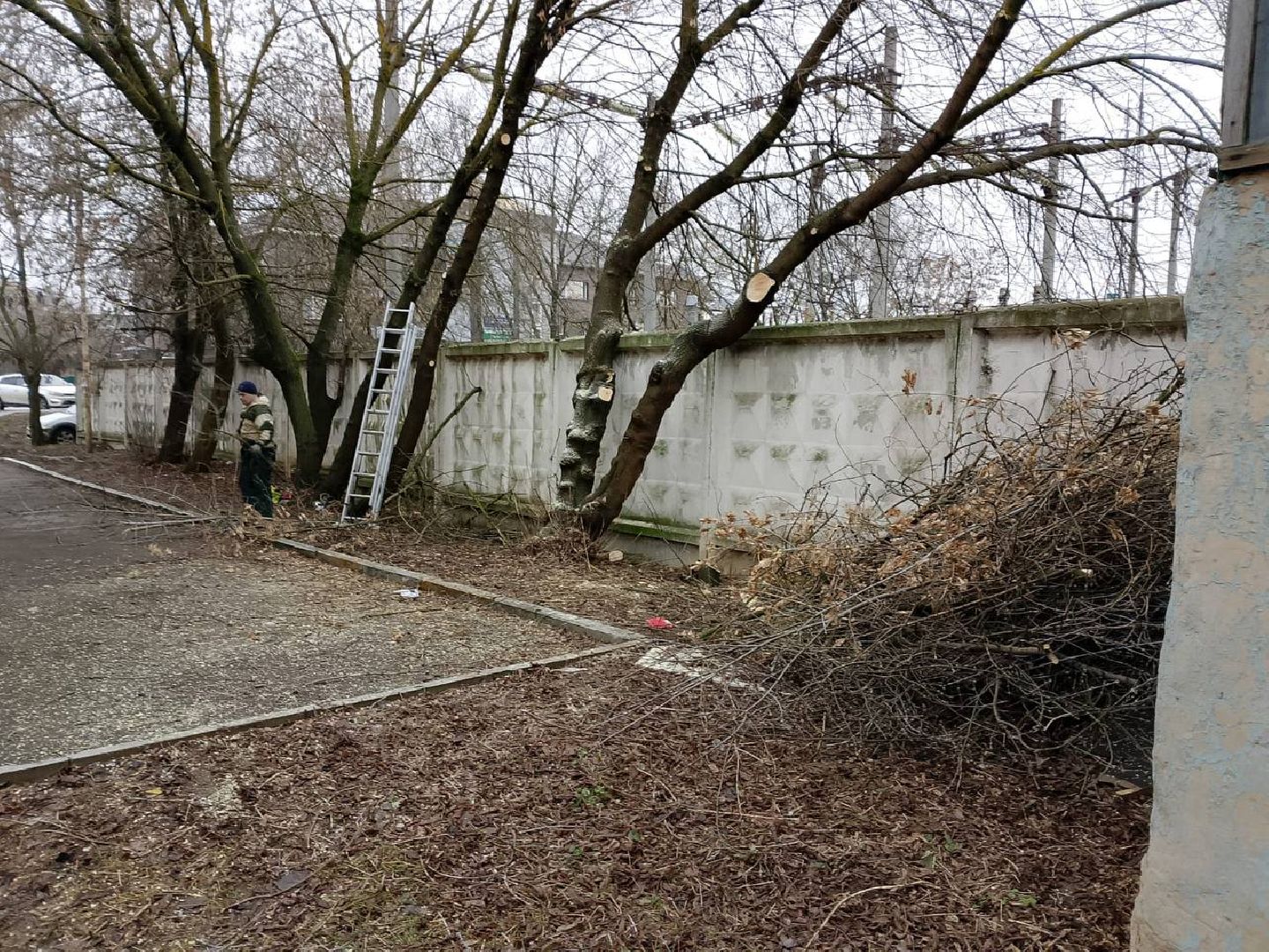 выездная администиация, вертикалка, общество, люди,