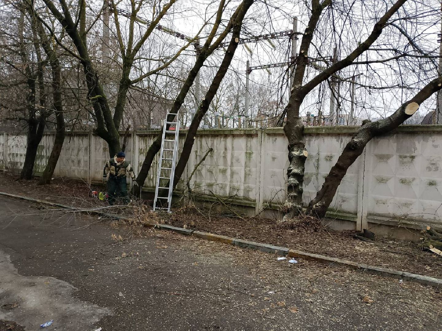 выездная администиация, вертикалка, общество, люди,