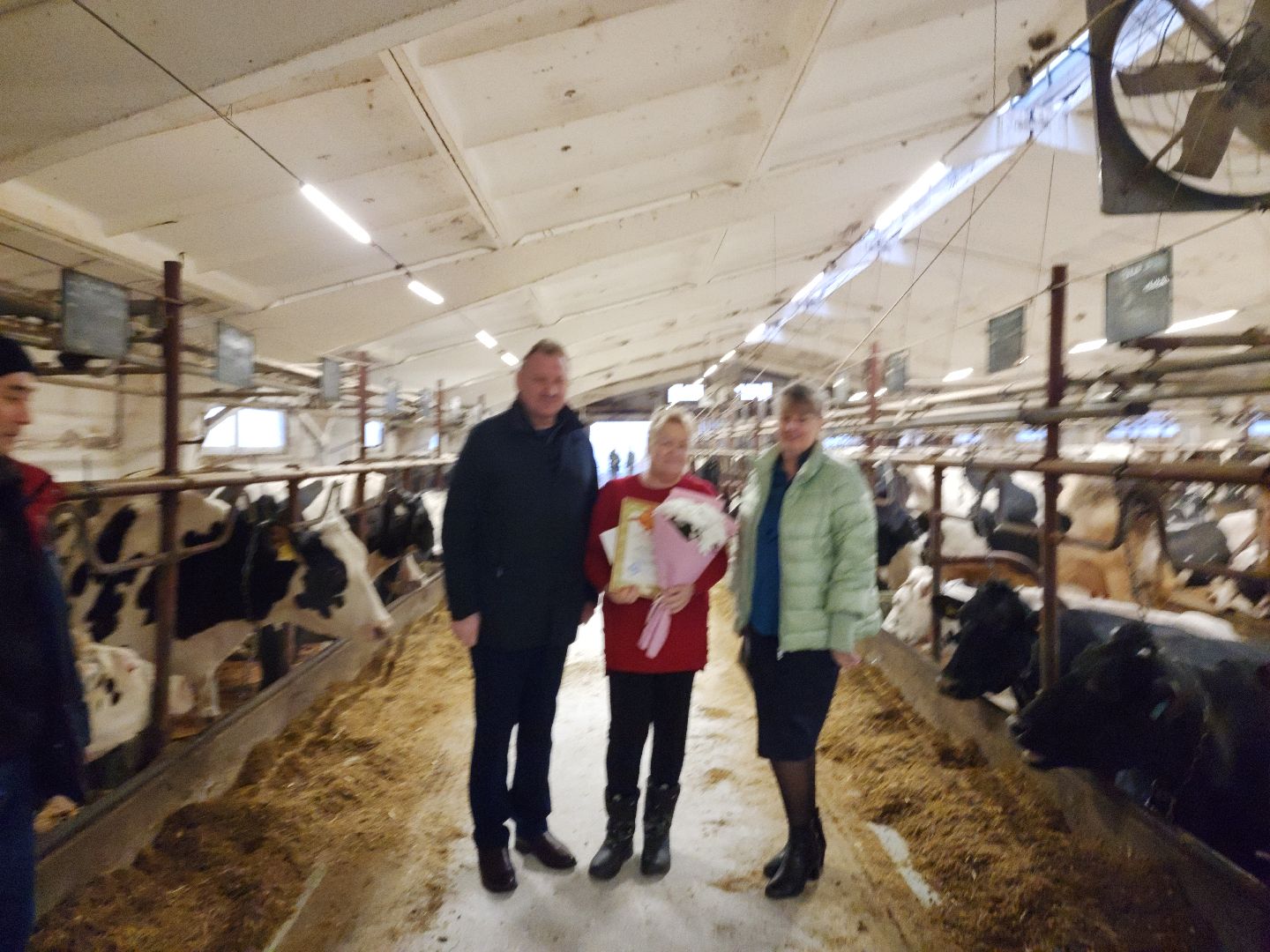 вертикалки, Зарайск, Молочная ферма,