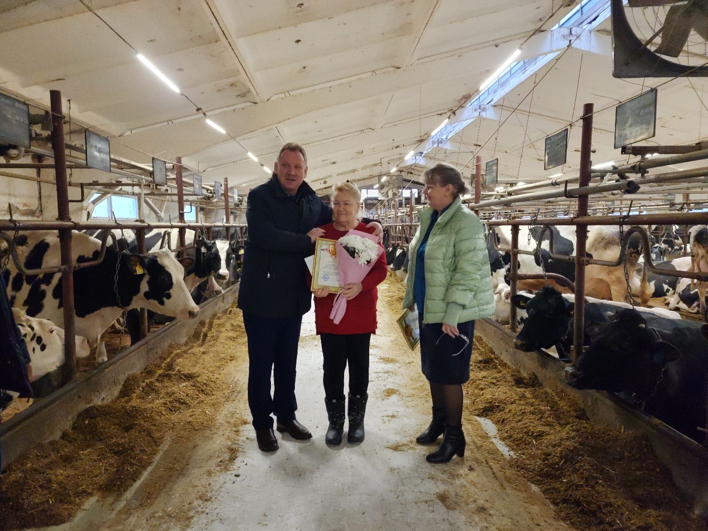 вертикалки, Зарайск, Молочная ферма,