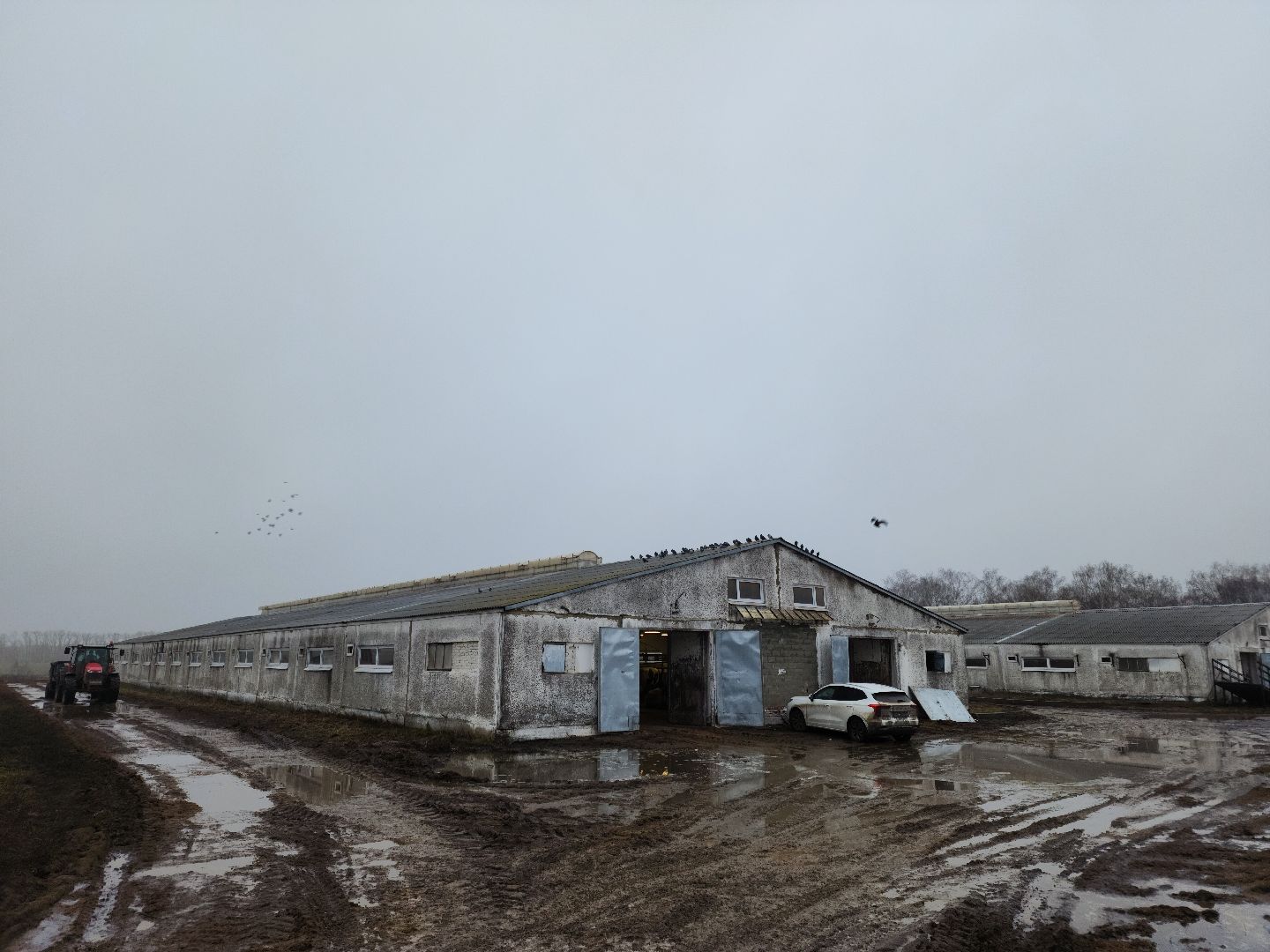 вертикалки, Зарайск, Молочная ферма,