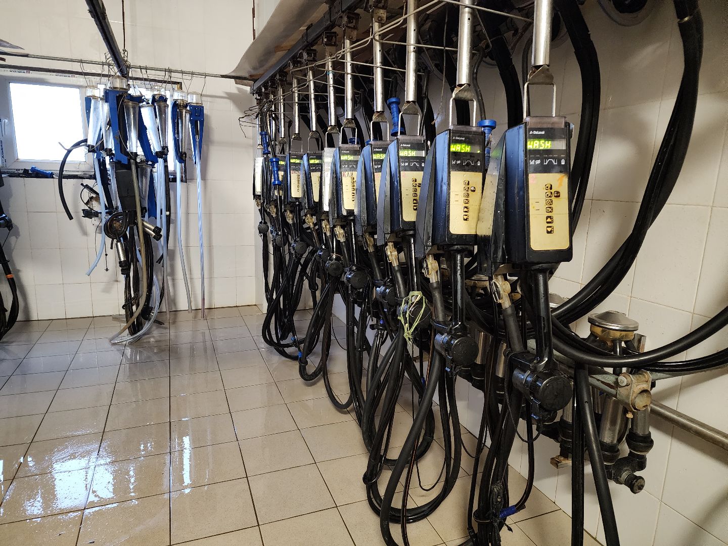 вертикалки, Зарайск, Молочная ферма,