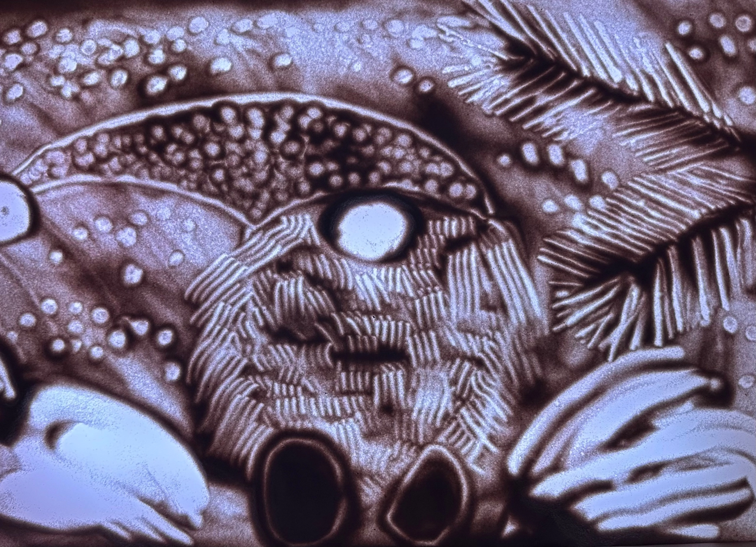 солнечногорск, рисунки песком, студия песка, конкурс, вертикалки,