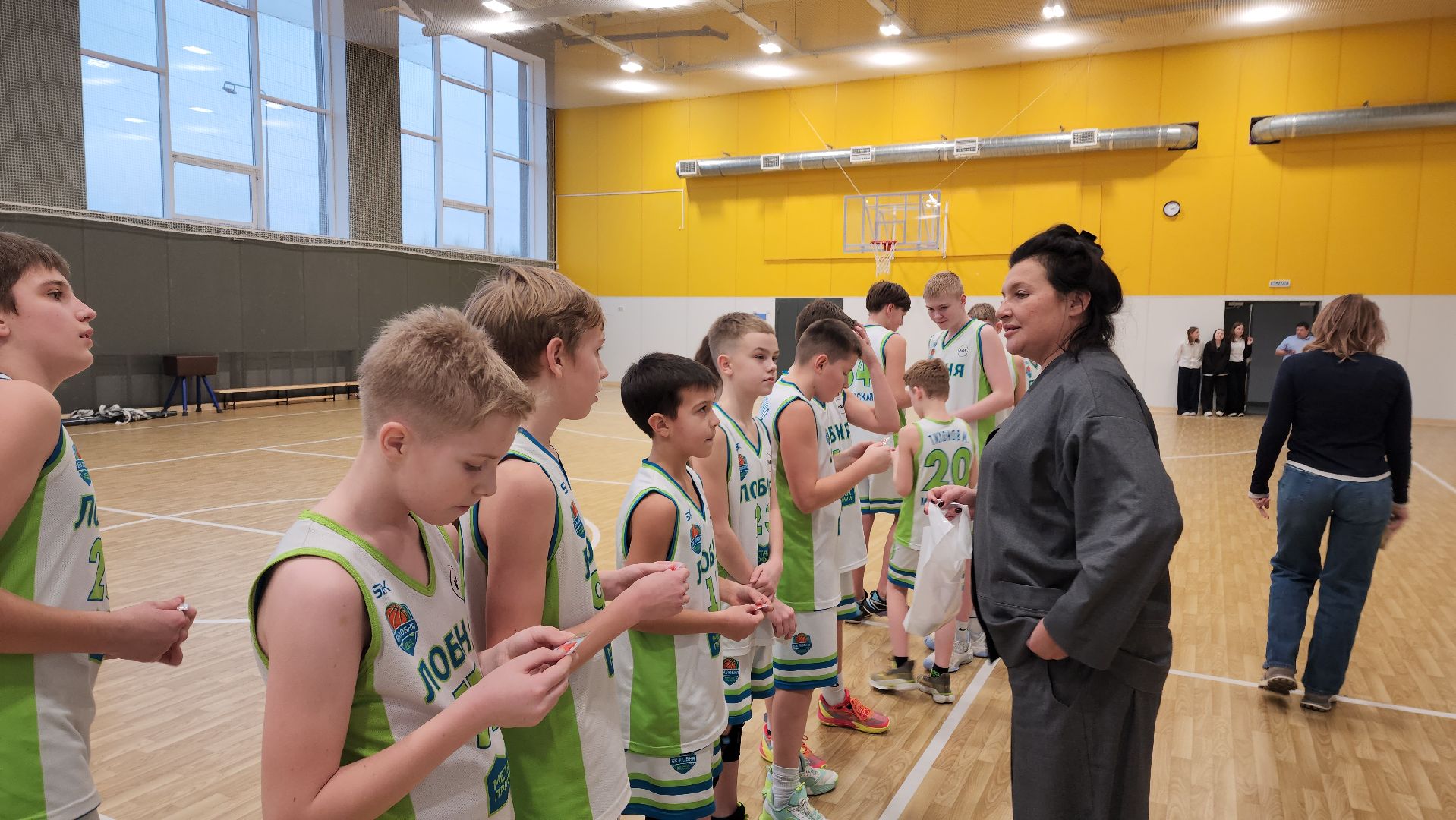 Баскетбол, Лобня, вертикалки,