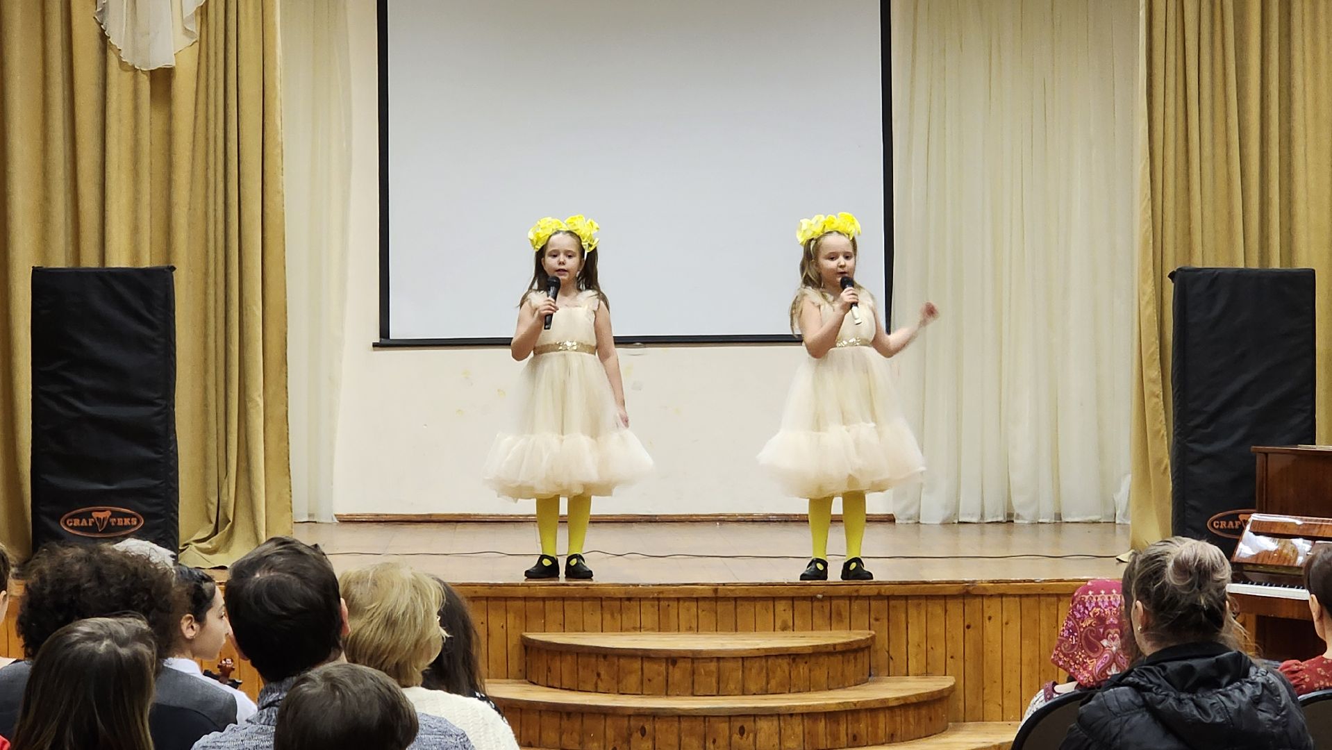 вертикалки, Бронницы, Детская школа искусств, Концерт в детской школе искусств, Дети,