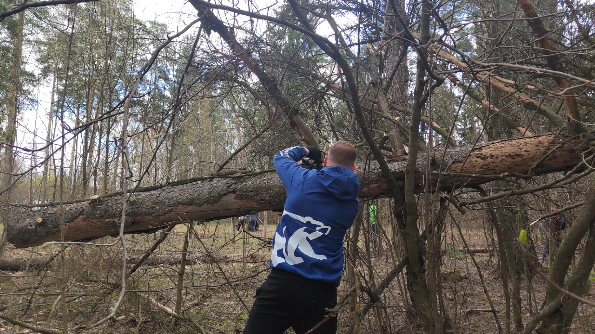 Пушкино, Пушкинский округ, Единая Россия, субботник