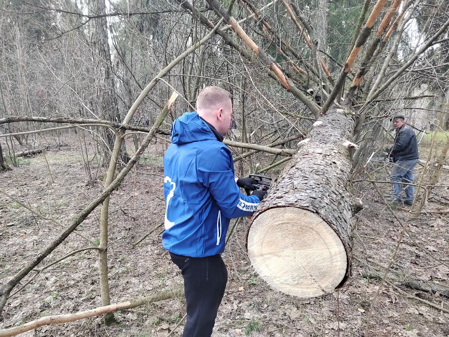 Пушкино, Пушкинский округ, Единая Россия, субботник