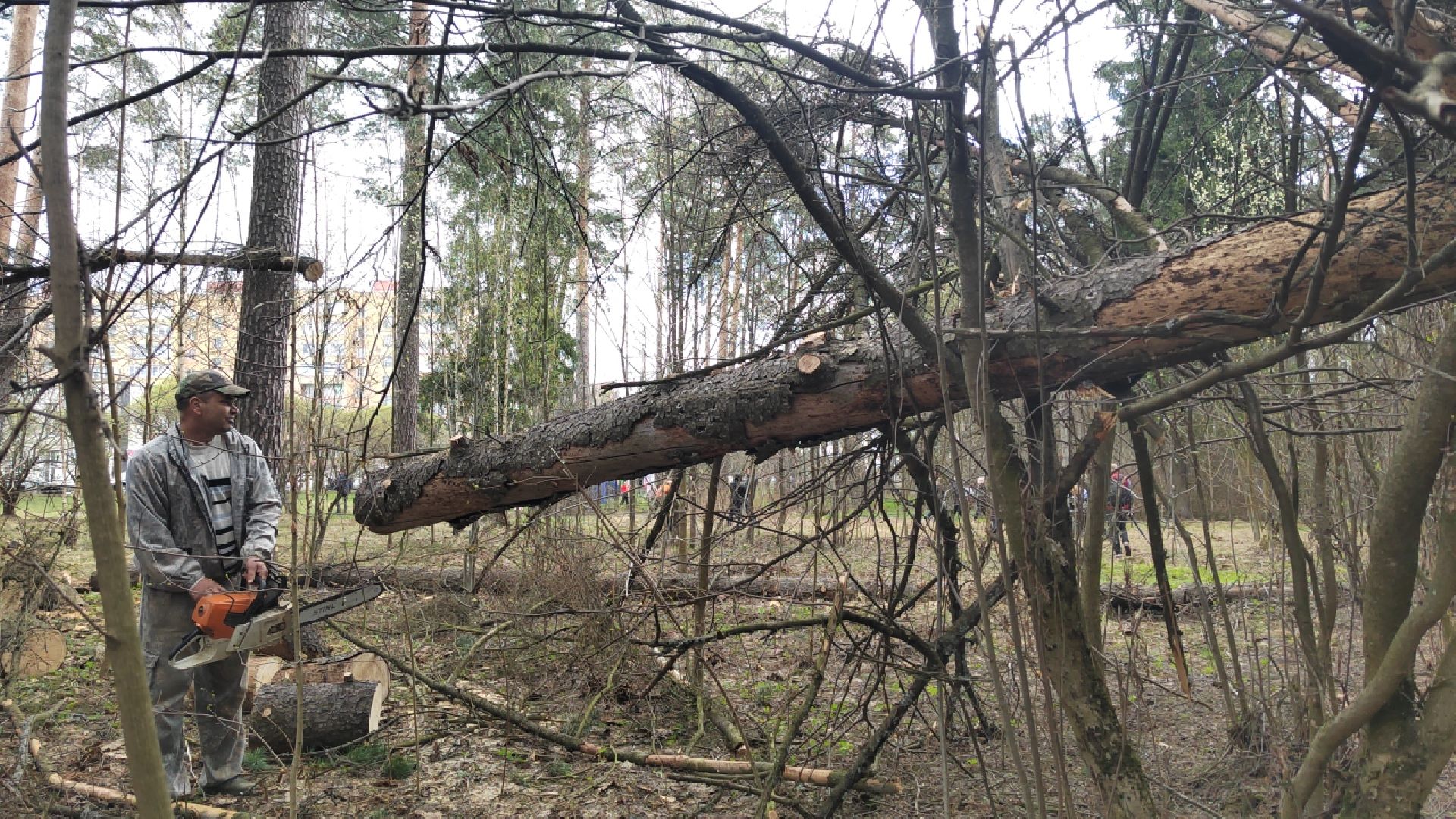 Пушкино, Пушкинский округ, Единая Россия, субботник