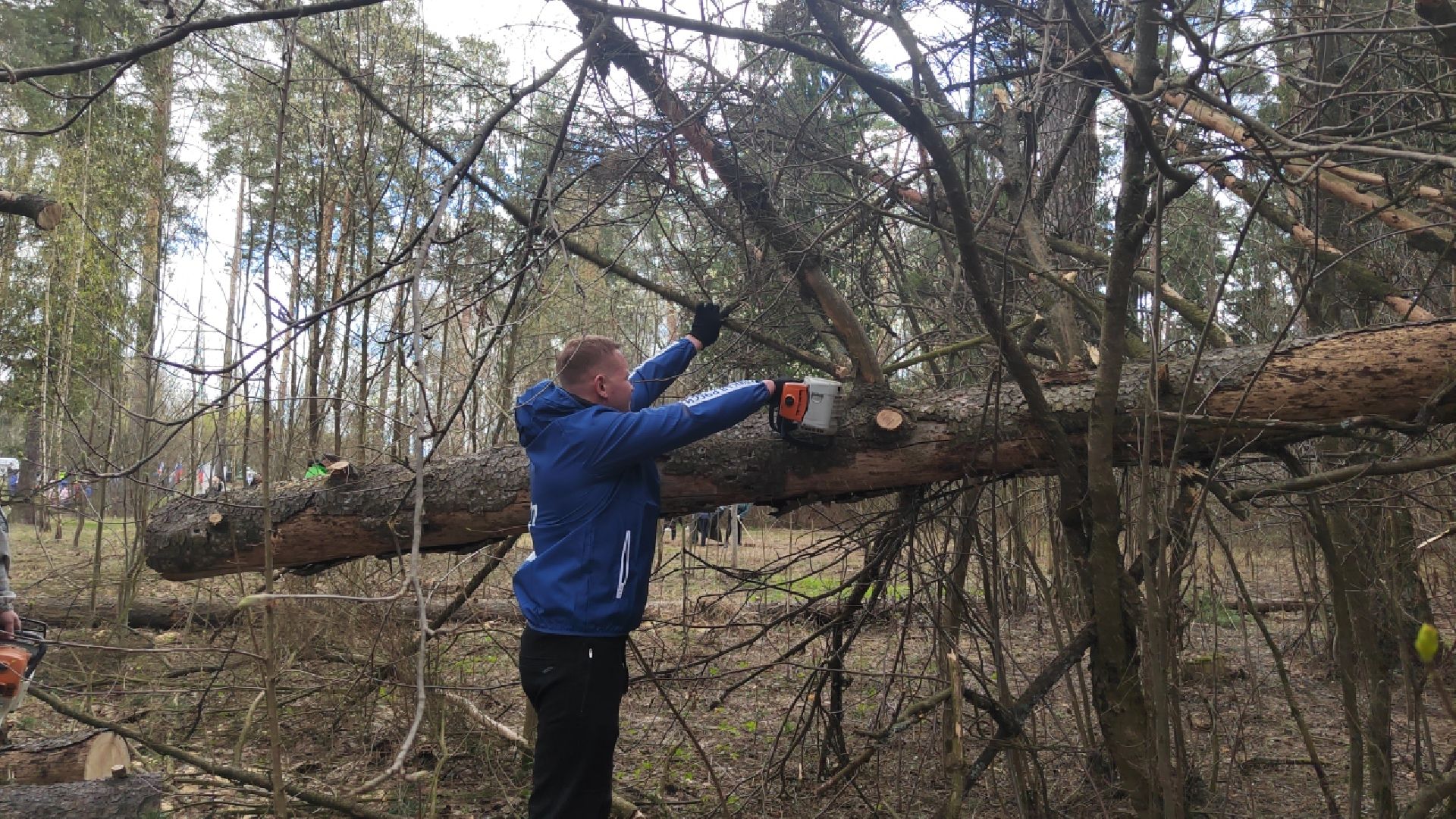 Пушкино, Пушкинский округ, Единая Россия, субботник