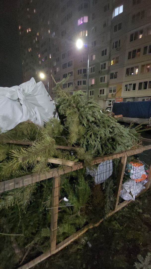 долгопрудный, проспект ракетостроителей, елки на переработку, спецплощадка, вертикалки,