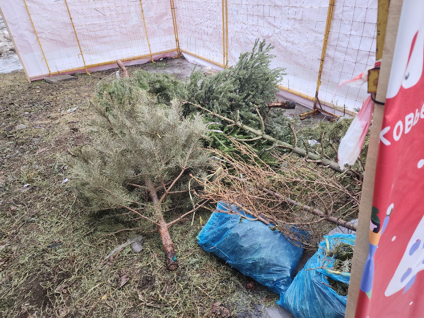 долгопрудный, проспект ракетостроителей, елки на переработку, спецплощадка, вертикалки,