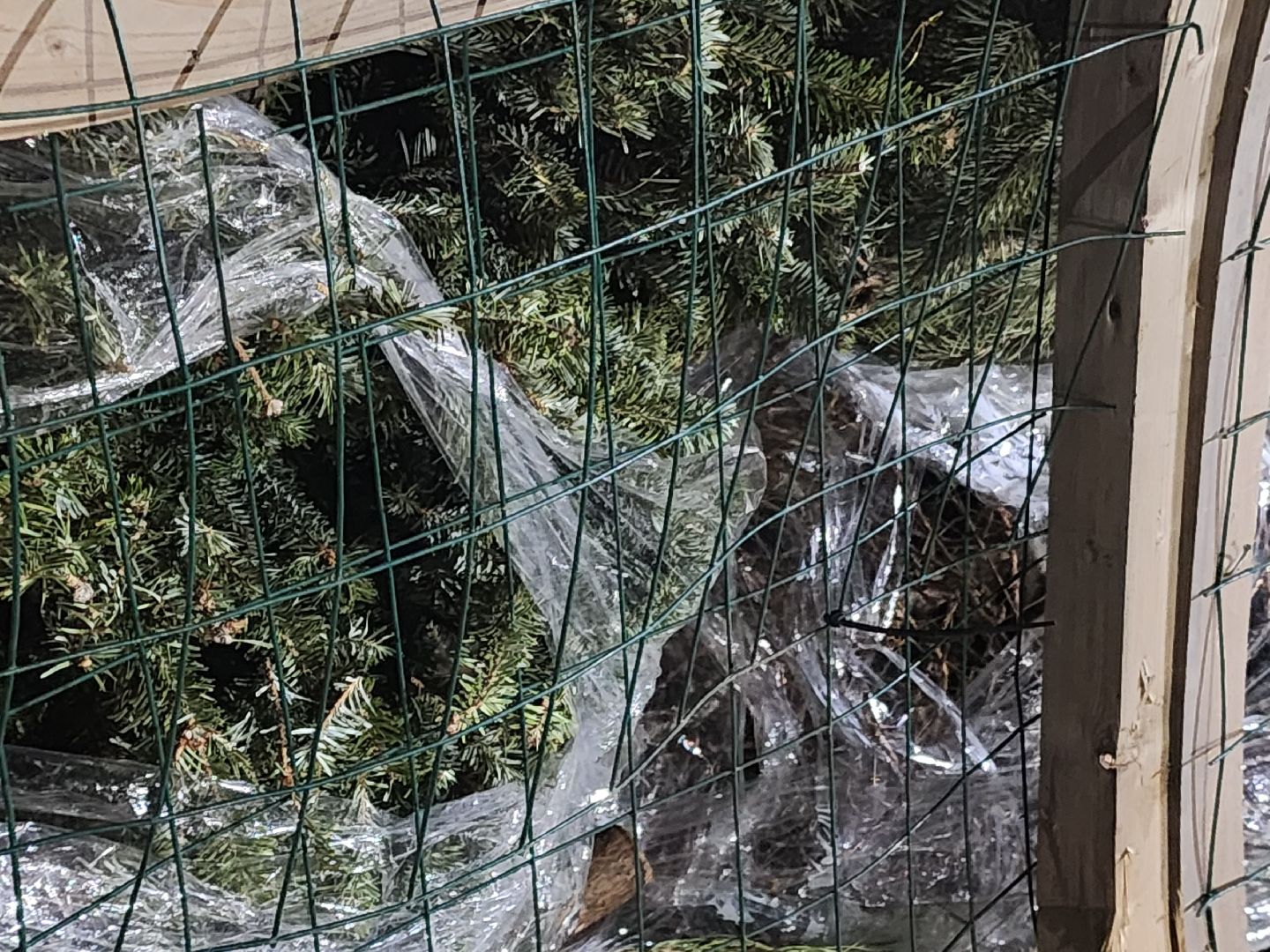 долгопрудный, проспект ракетостроителей, елки на переработку, спецплощадка, вертикалки,