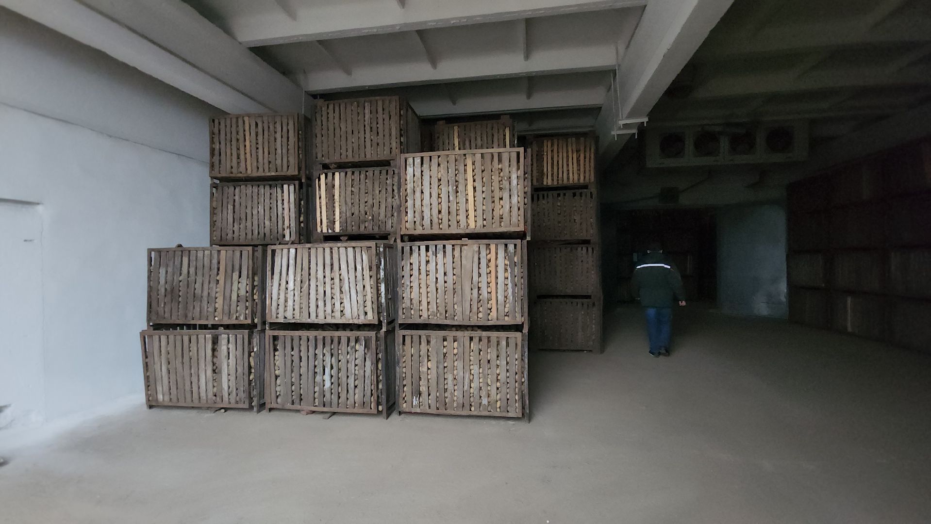 серпухов, ао дашковка, сельское хозяйство, овощехранилище, экономика, поселок большевик,