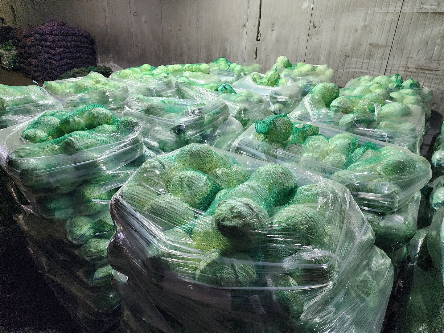 серпухов, ао дашковка, сельское хозяйство, овощехранилище, экономика, поселок большевик,