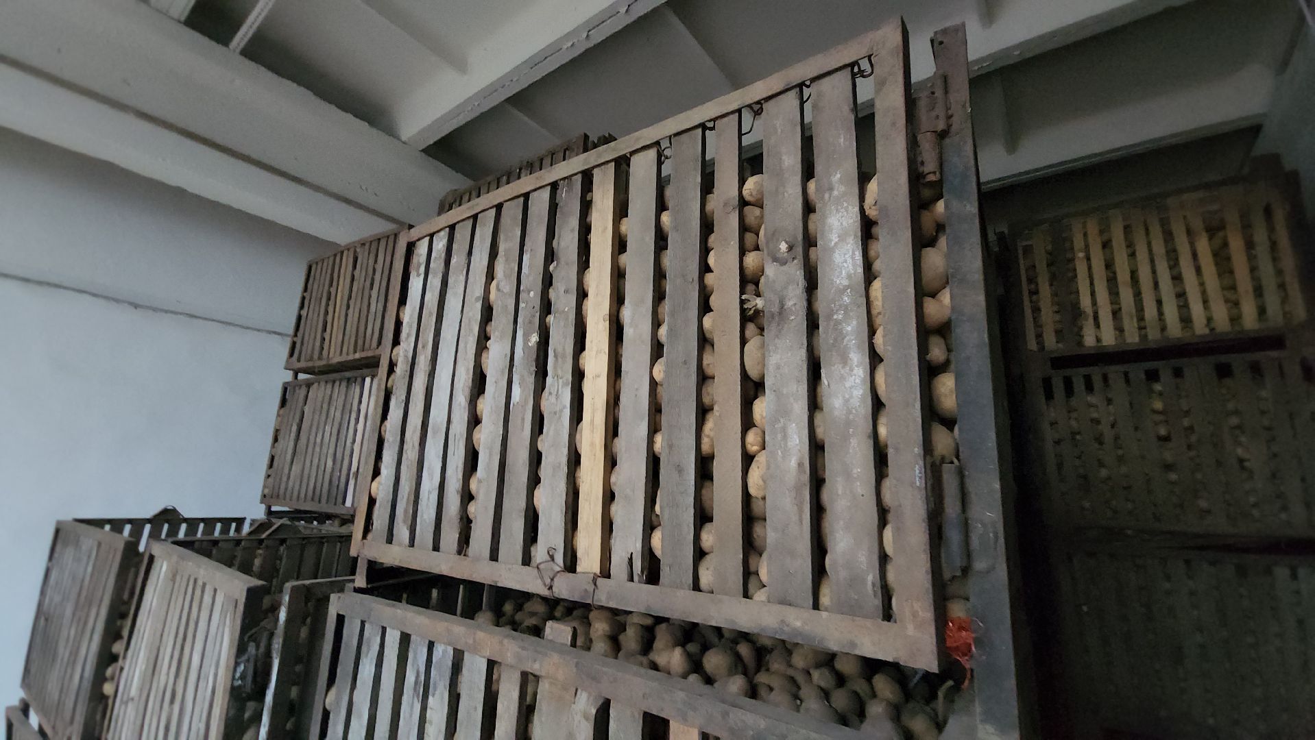 серпухов, ао дашковка, сельское хозяйство, овощехранилище, экономика, поселок большевик,