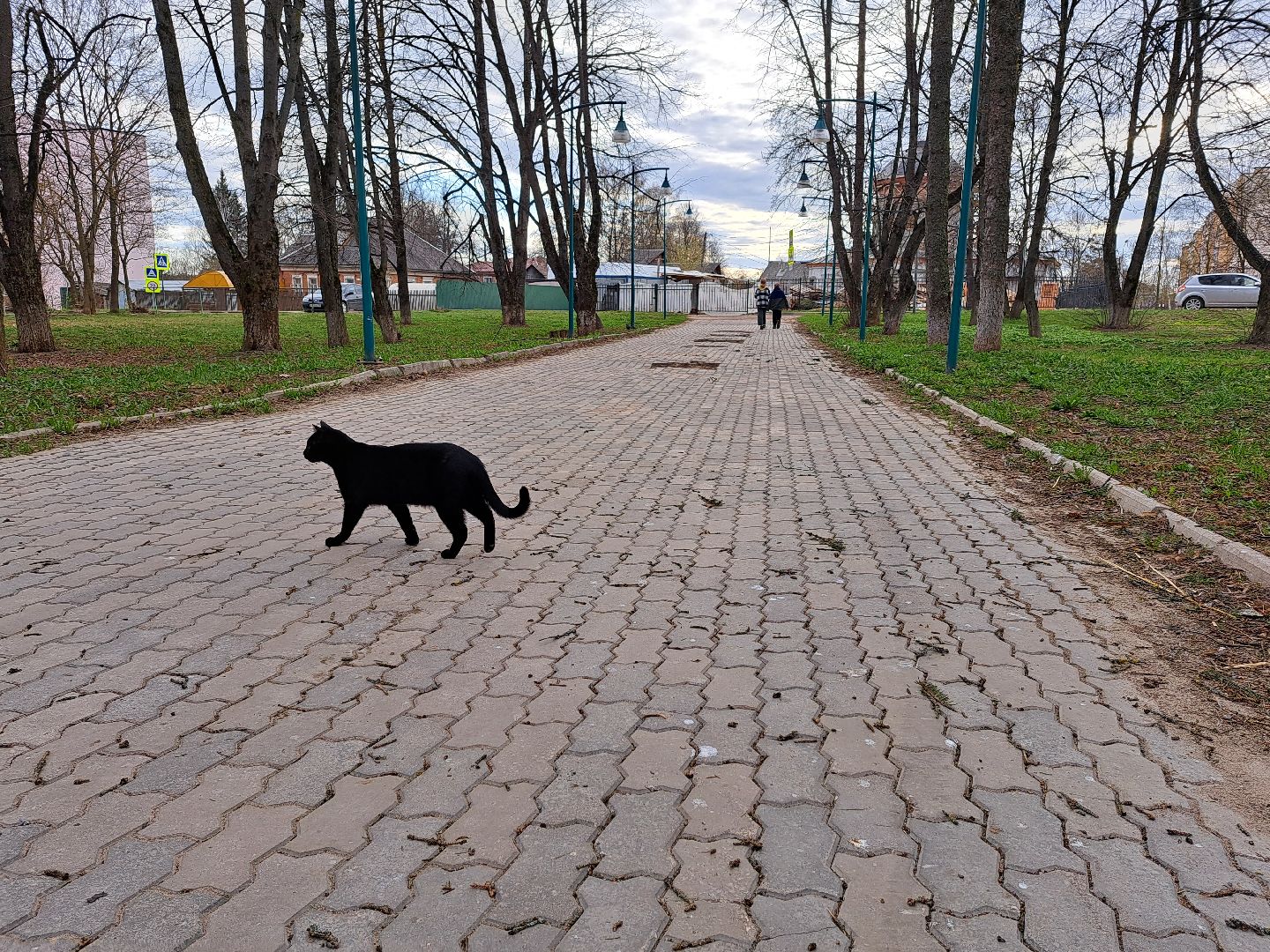Рузский городской округ, благоустройство, голосование, парки. скверы, Жильё и городская среда