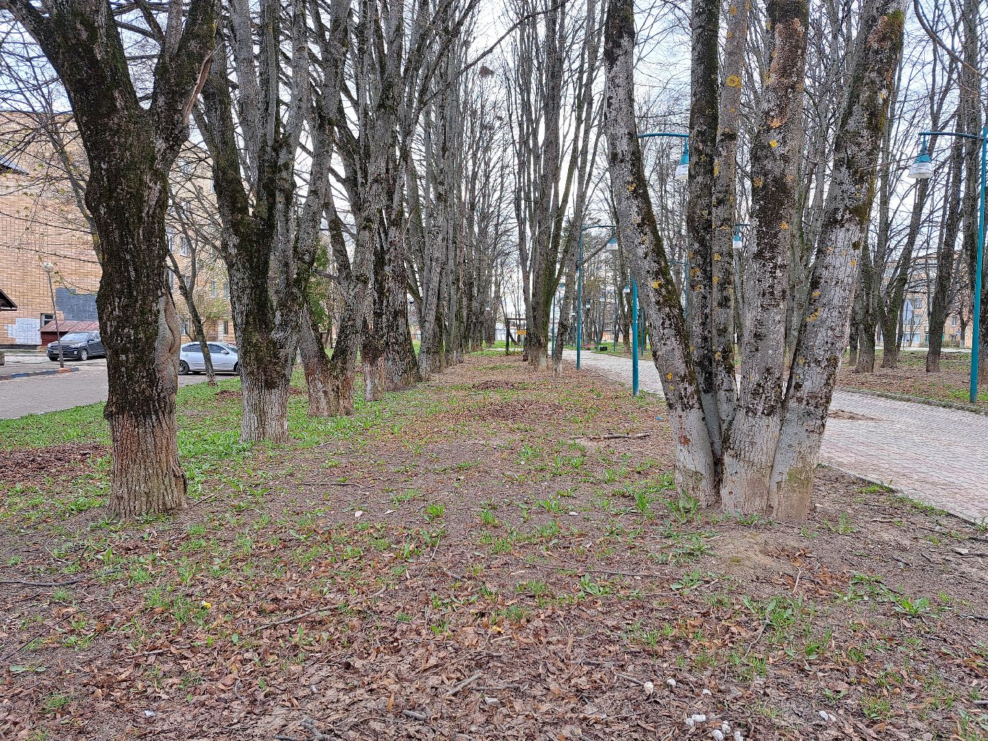 Рузский городской округ, благоустройство, голосование, парки. скверы, Жильё и городская среда