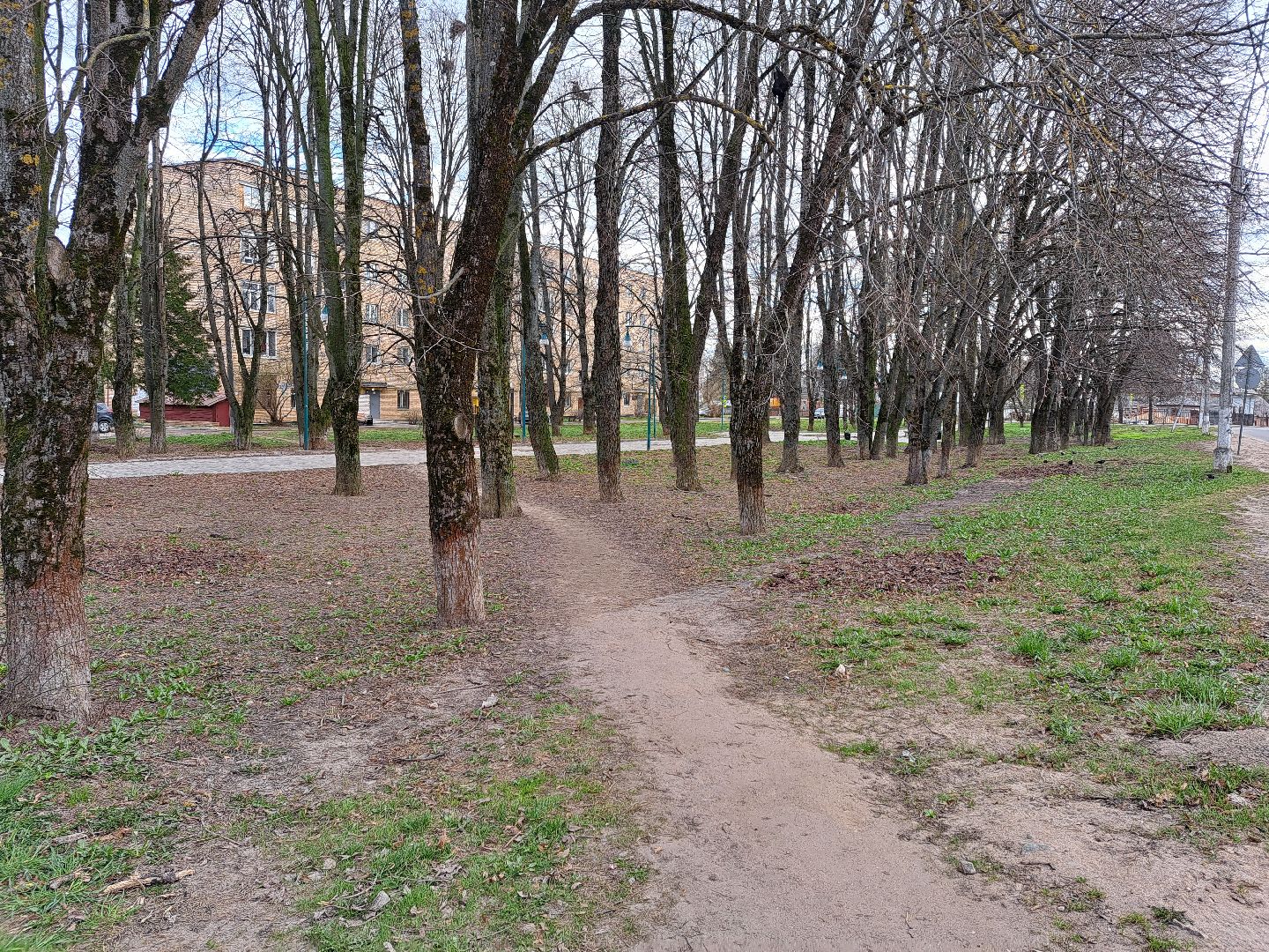 Рузский городской округ, благоустройство, голосование, парки. скверы, Жильё и городская среда