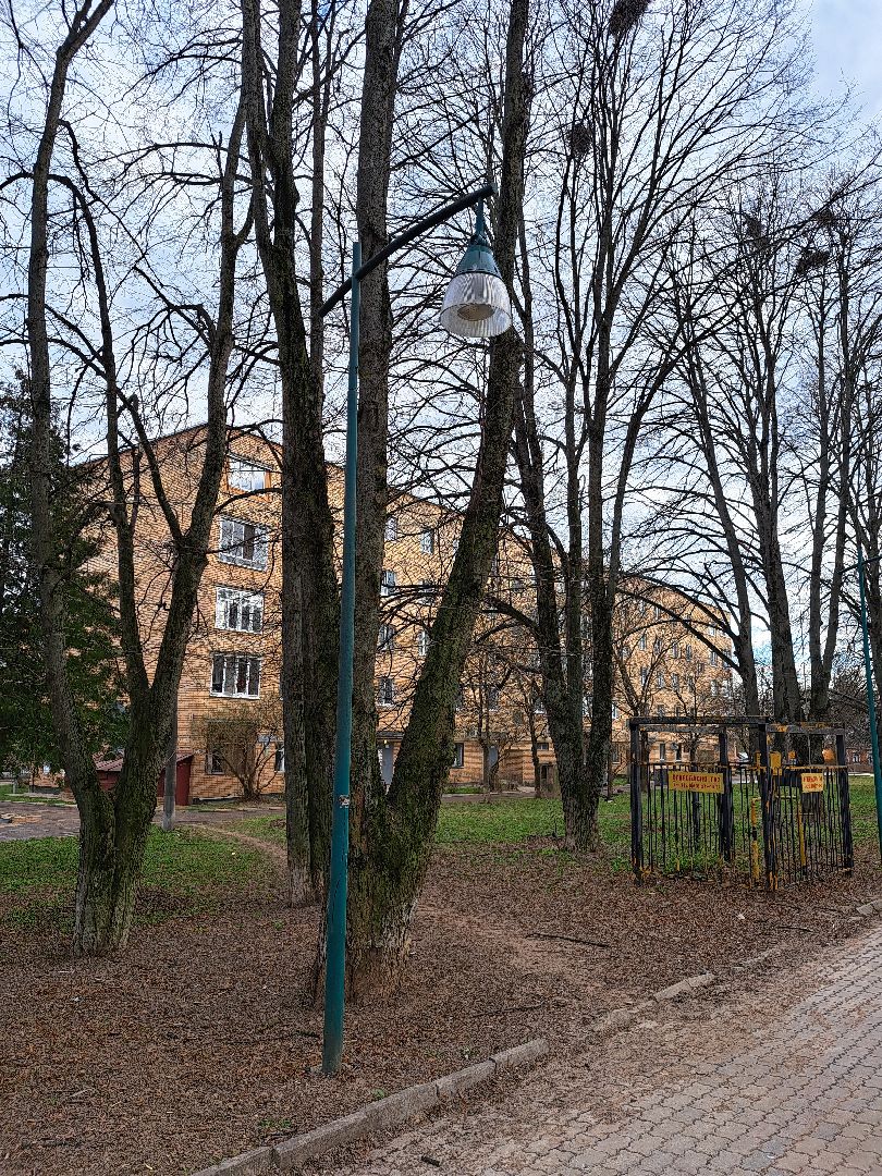 Рузский городской округ, благоустройство, голосование, парки. скверы, Жильё и городская среда