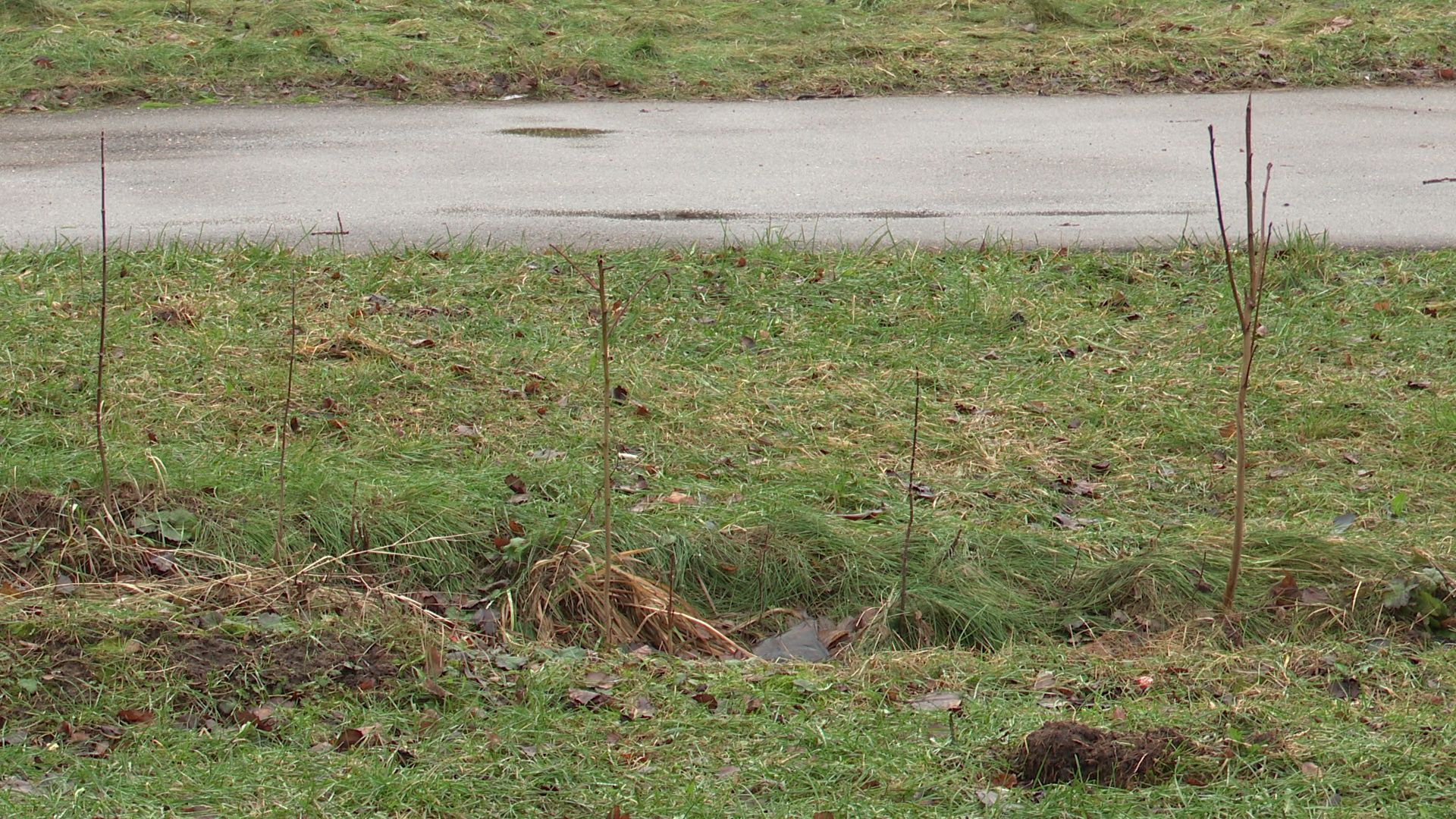 реутов, вертикалки, благоустройство, байпасы, трубы,реконструкция теплосети,