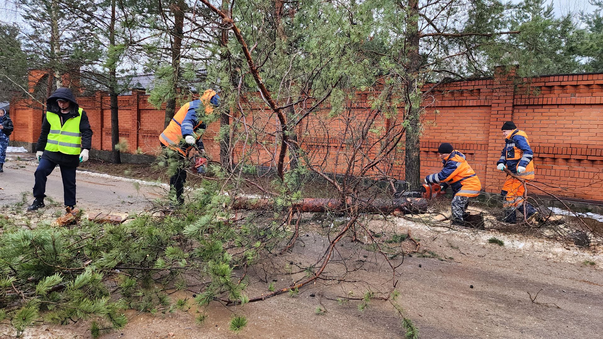 благоустройство, истра, добродел, добродел благоустройство, вертикалка,