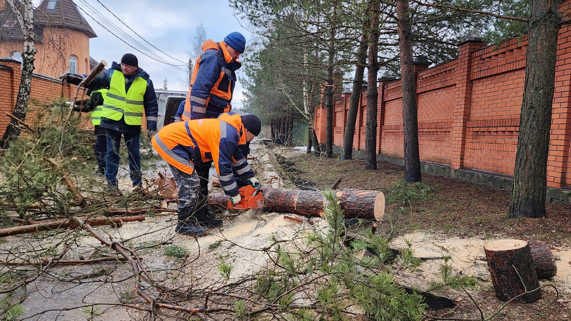благоустройство, истра, добродел, добродел благоустройство, вертикалка,