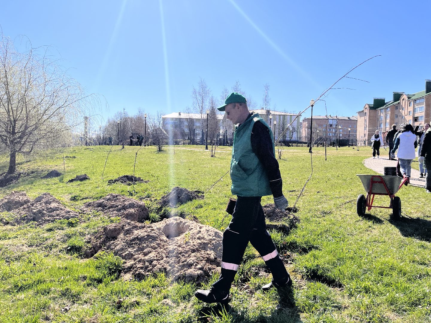 Шаховская, субботник, парк, саженцы