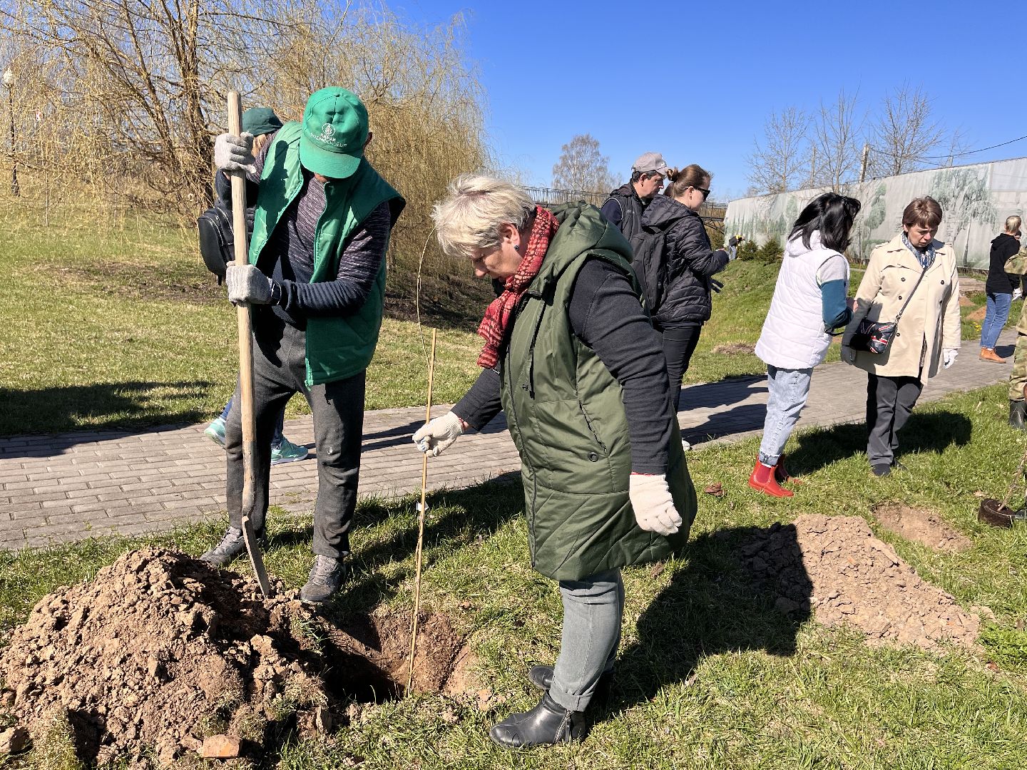 Шаховская, субботник, парк, саженцы