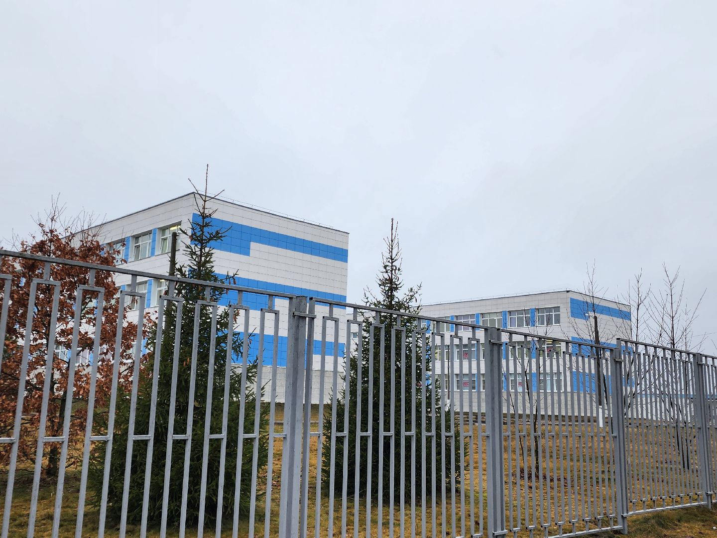 вертикалки, ретроспектива, общество,