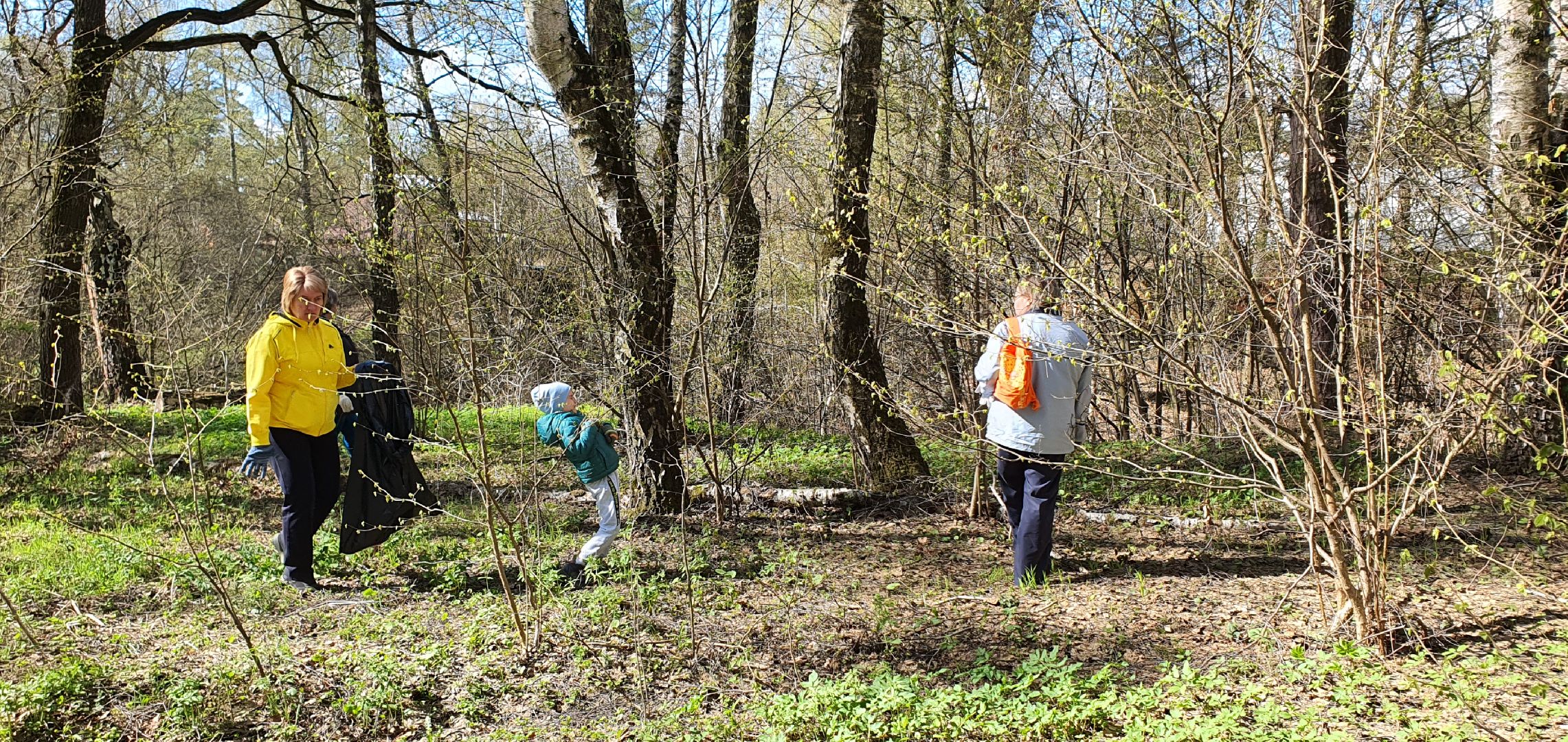 Субботник, Парки Домодедова, деревня Гальчино