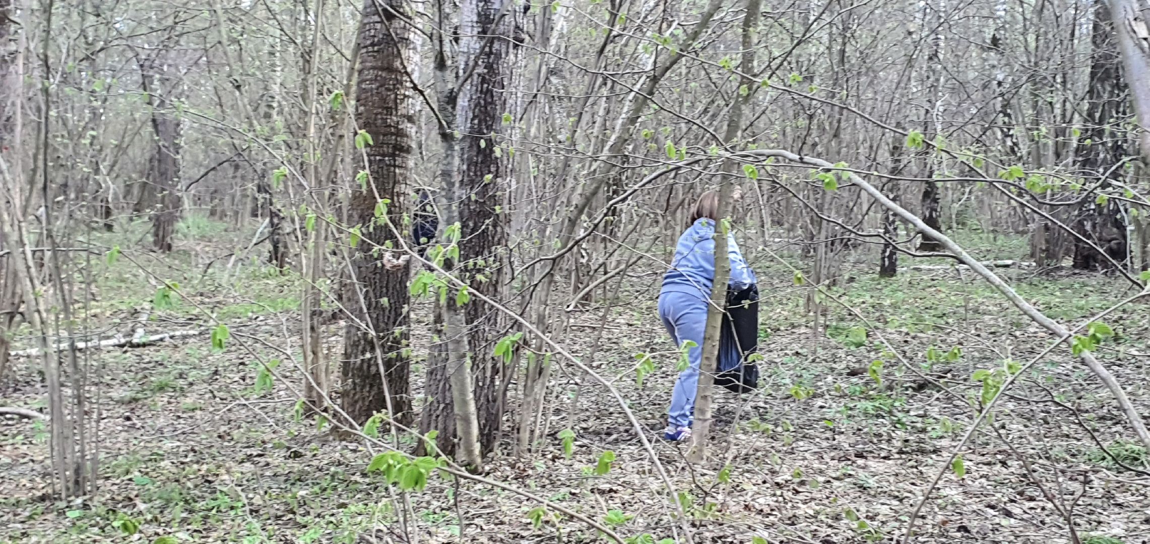 Субботник, Парки Домодедова, деревня Гальчино