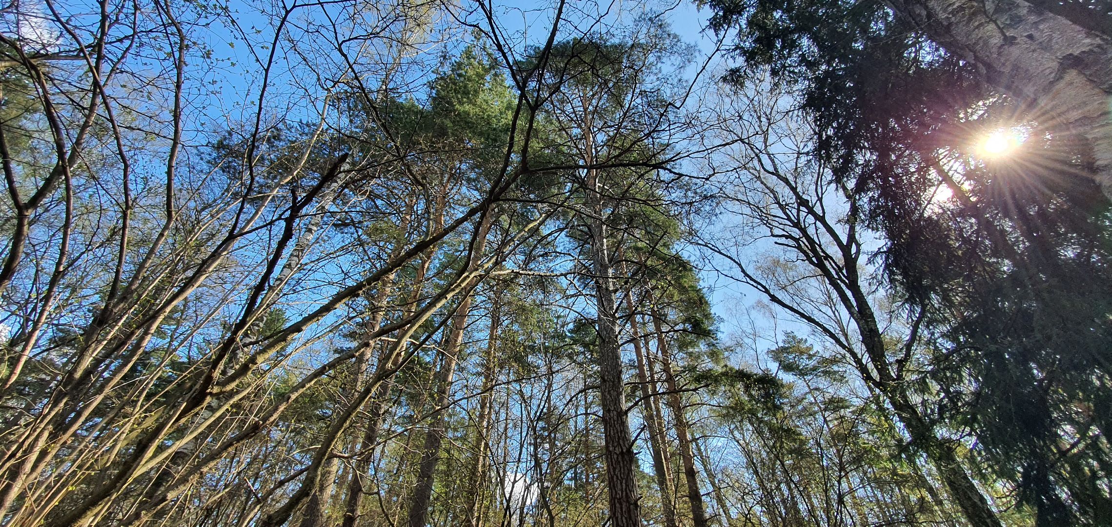 Субботник, Парки Домодедова, деревня Гальчино