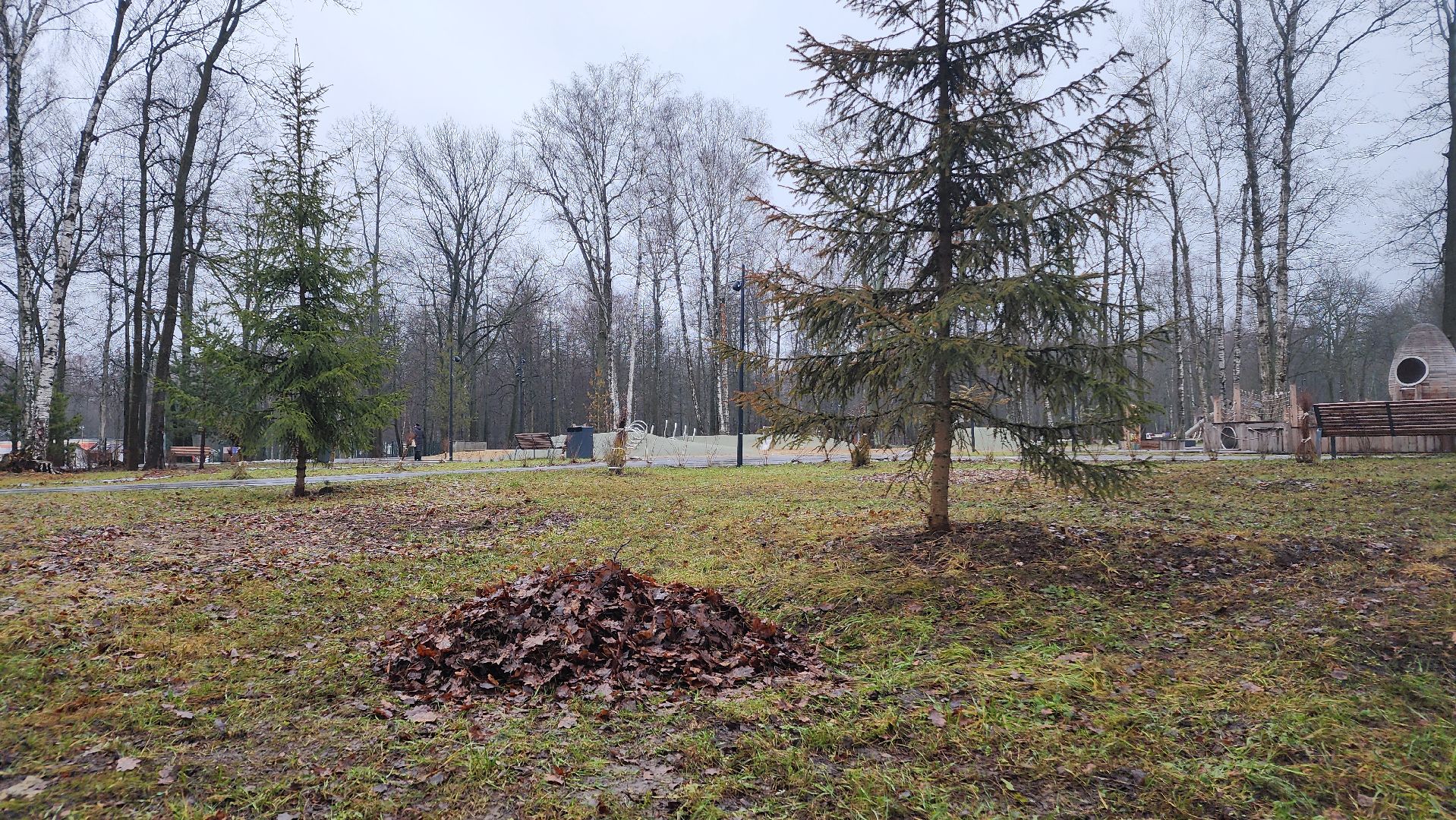 ступино, парк имени островского, парки подмосковья, вертикалки,
