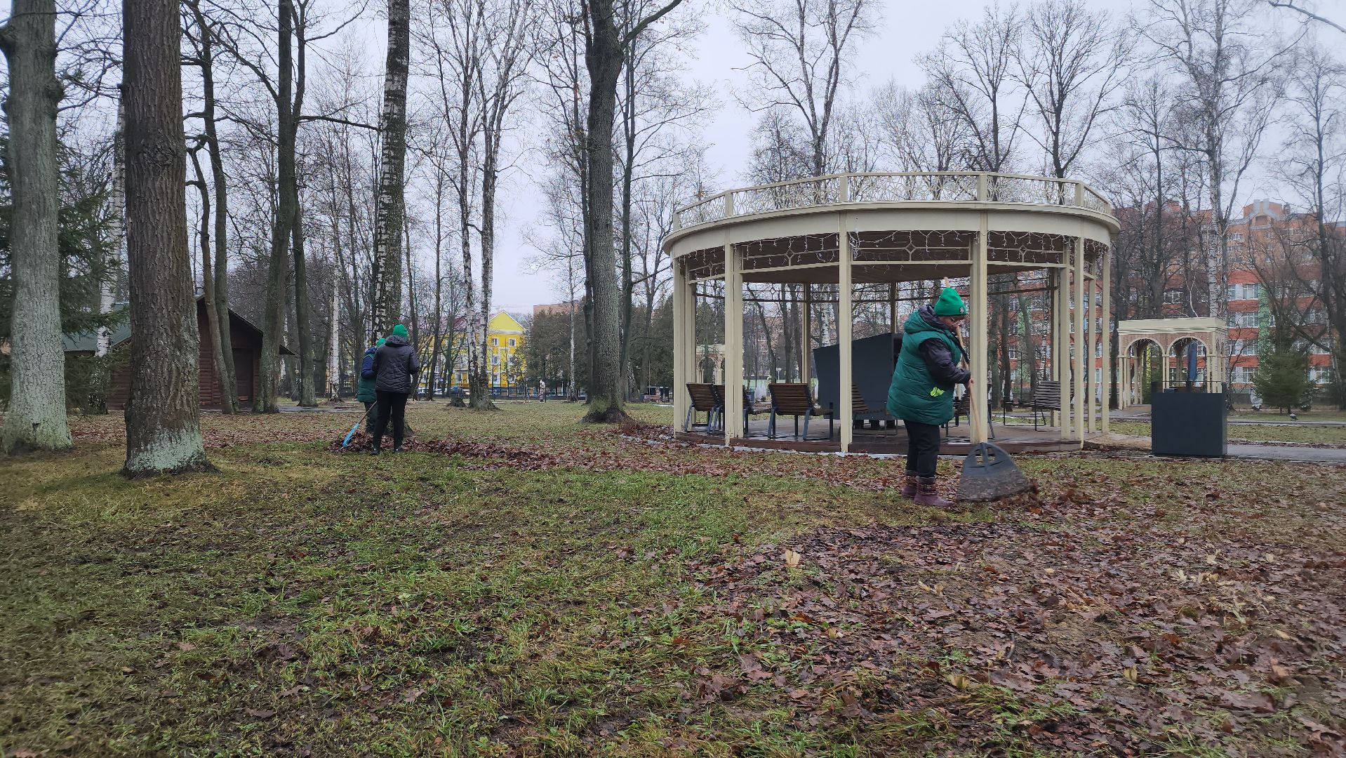 ступино, парк имени островского, парки подмосковья, вертикалки,