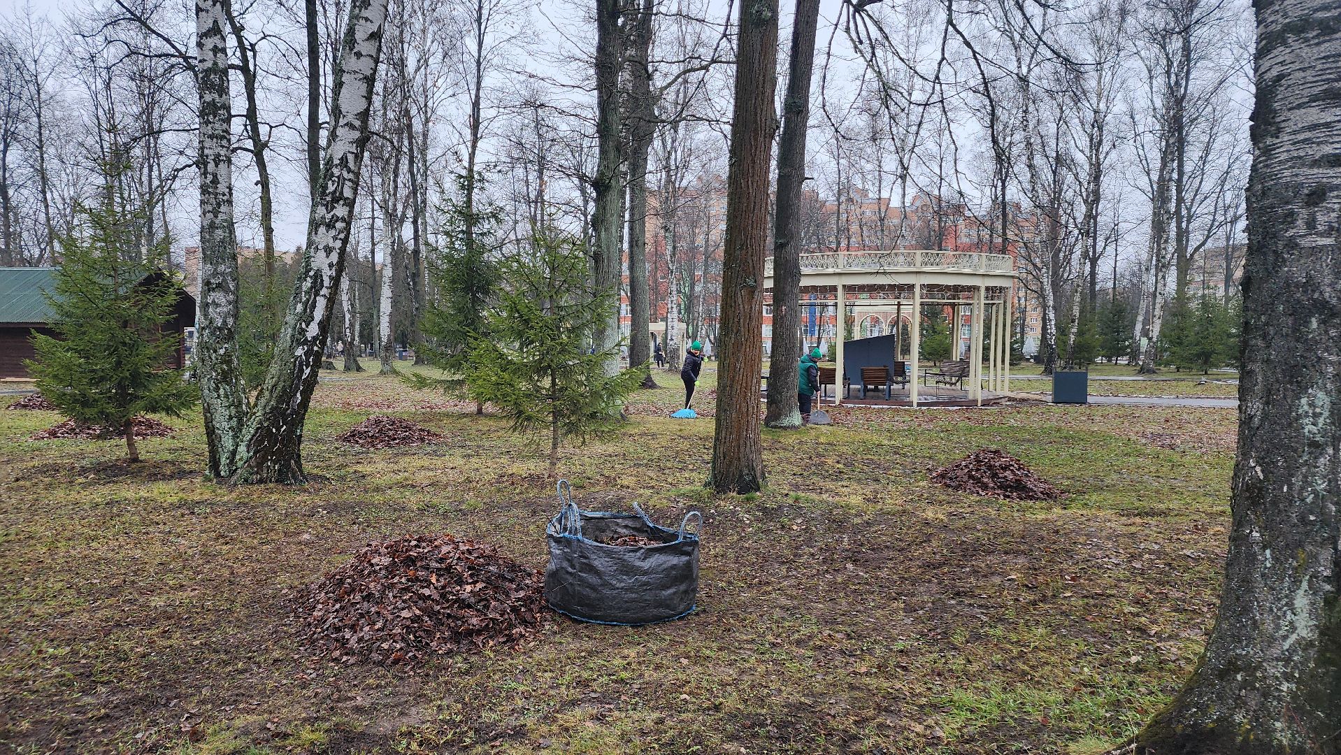 ступино, парк имени островского, парки подмосковья, вертикалки,