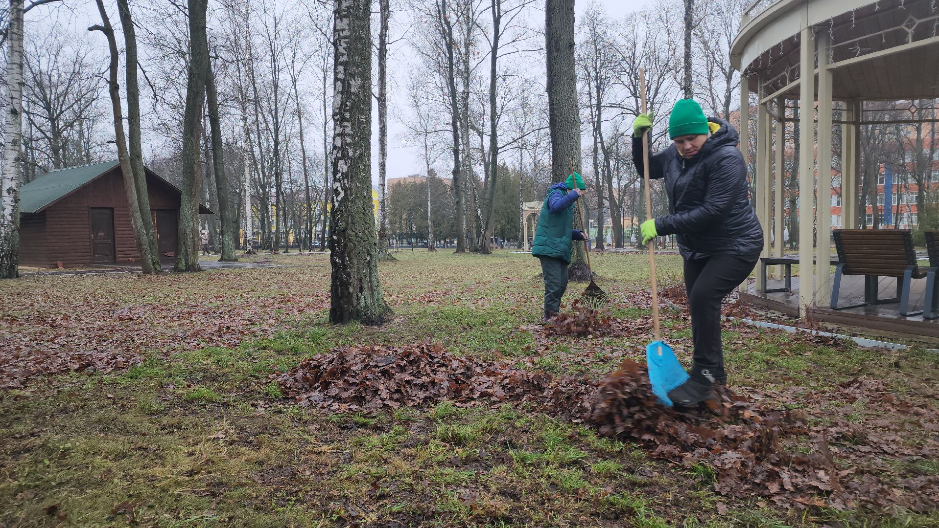 ступино, парк имени островского, парки подмосковья, вертикалки,