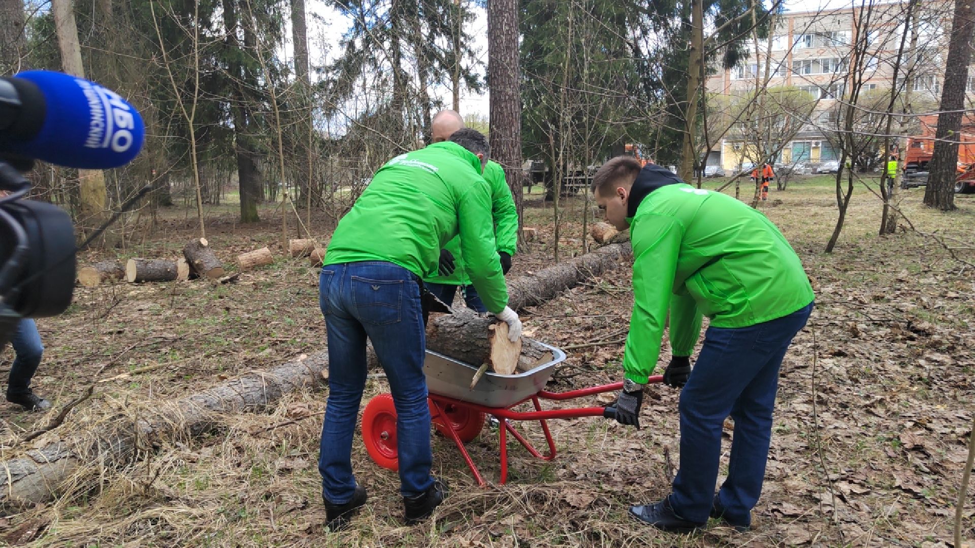 Пушкино, прокуратура, субботник, благоустройство