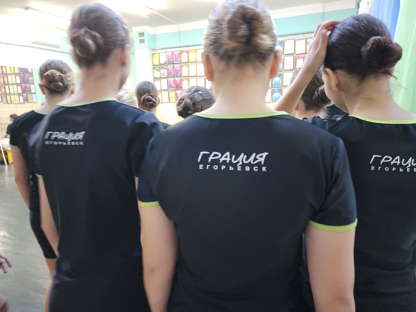 Егорьевск, Подмосковье, Московская область,вертикалки, вертикалки,