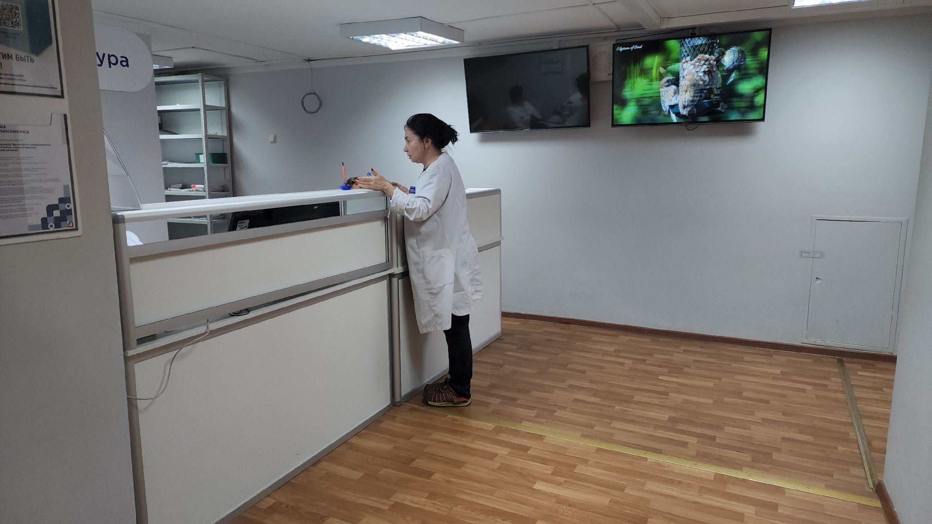 вертикалки, медицина, красногорск, онкология,цоап,