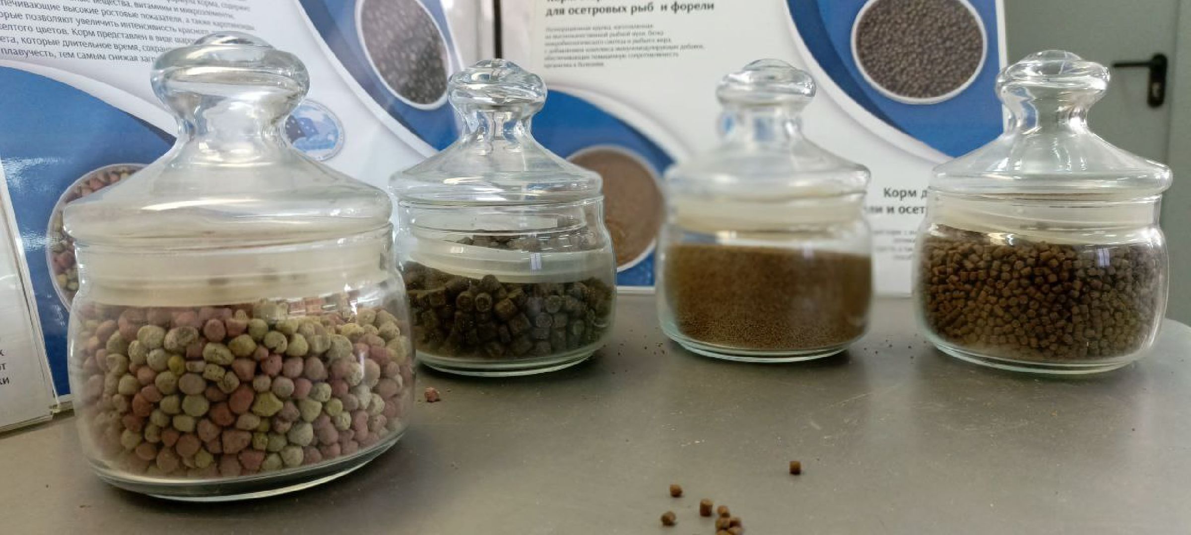 Дмитров, ВНИРО, ВНИИПРХ, Росрыболовство, Минсельхоз, вертикалка,