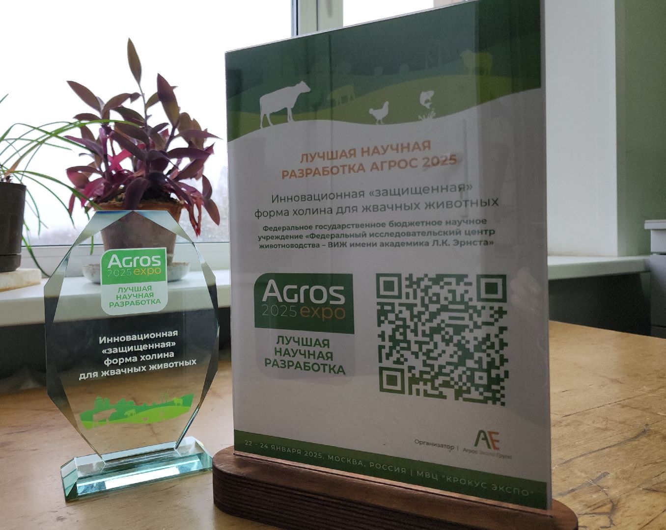 виж им эрнста, наука, Разработка, Пищевая добавка,