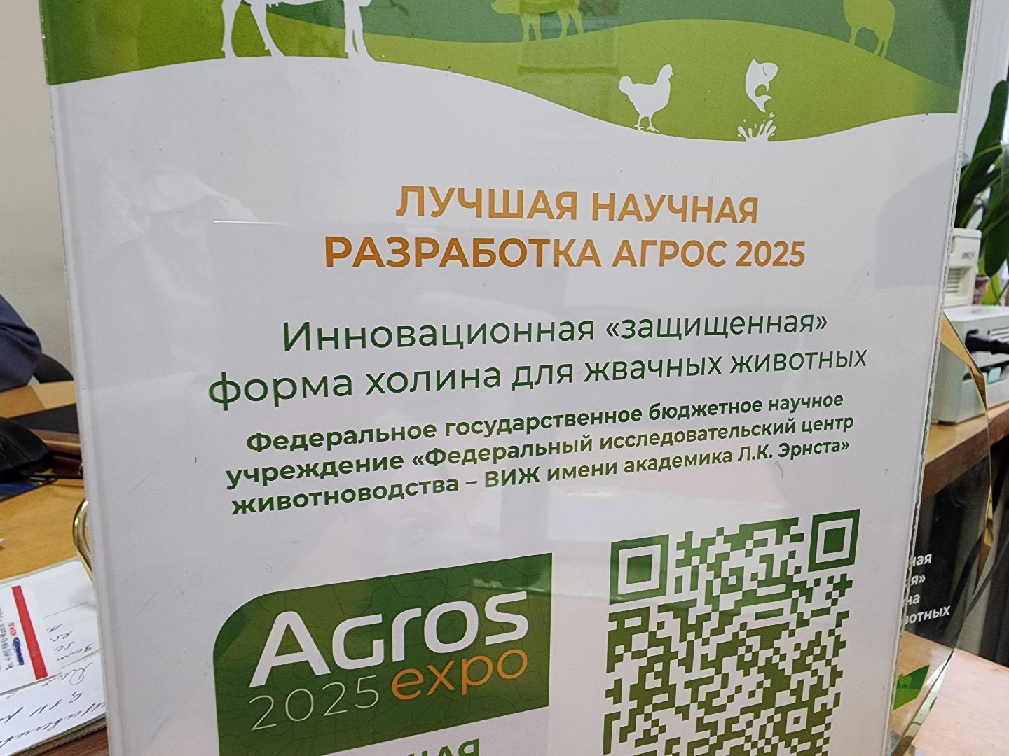 виж им эрнста, наука, Разработка, Пищевая добавка,