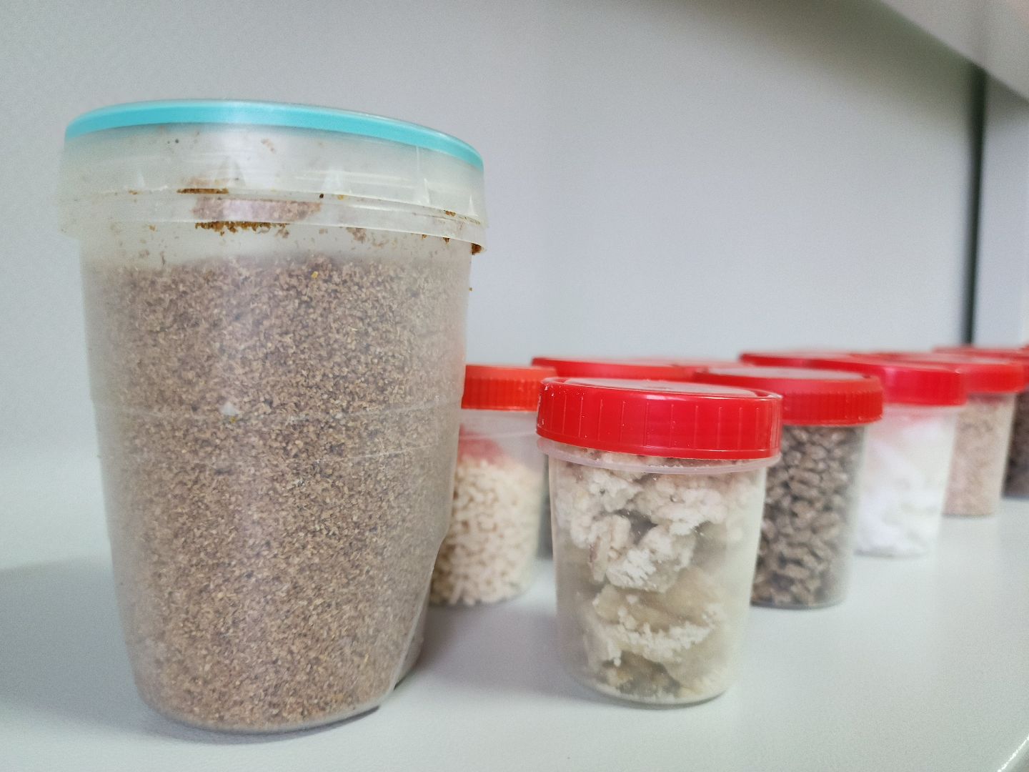 виж им эрнста, наука, Разработка, Пищевая добавка,