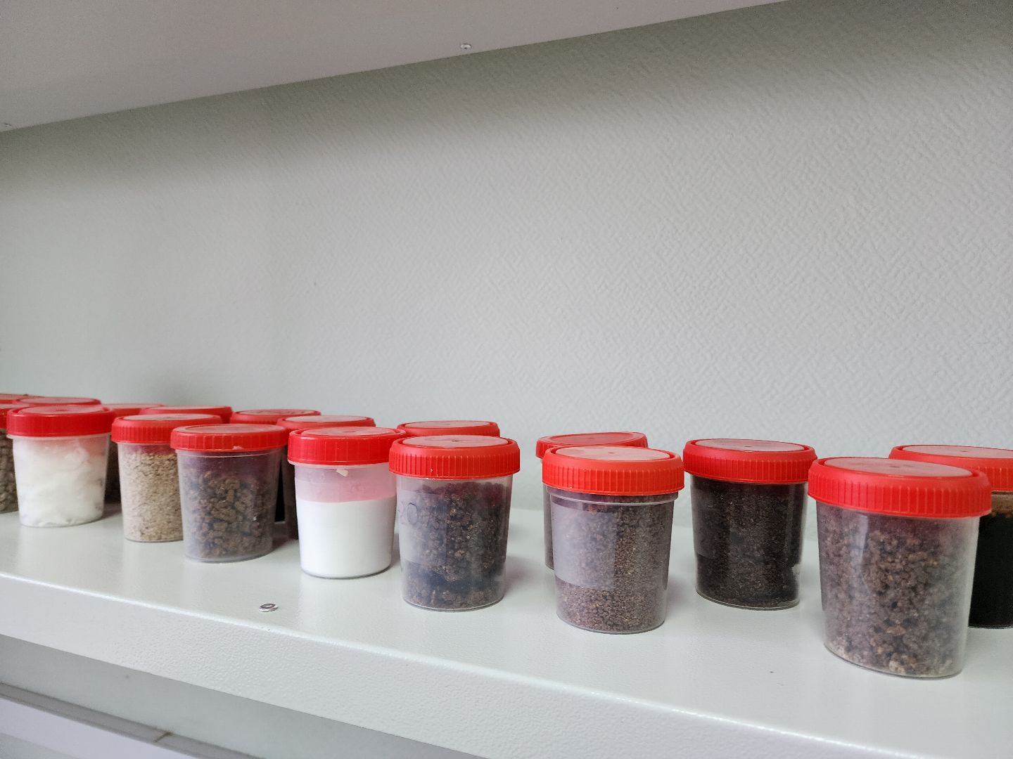 виж им эрнста, наука, Разработка, Пищевая добавка,