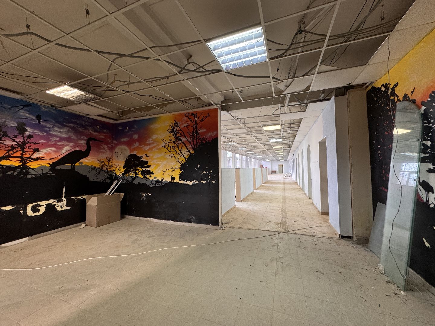 Одинцово, Школа в Голицыно, Капитальный ремонт школы Голицыно, вертикалки,